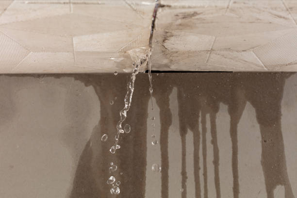Professional Flood Damage Cleanup technician working in Payson, IL